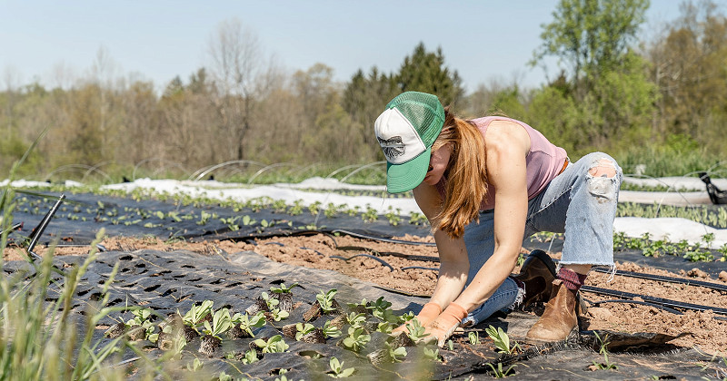 Seasonal agricultural work - What you need to know before hiring seasonal workers